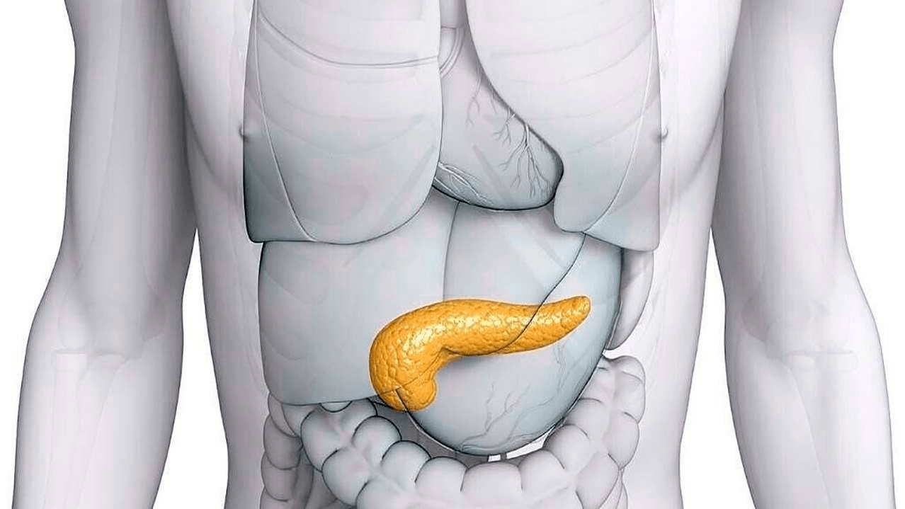 pancreas sănătos după administrarea Glucoren