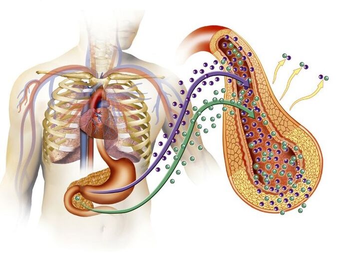 producție normală de insulină după administrarea Glucoren