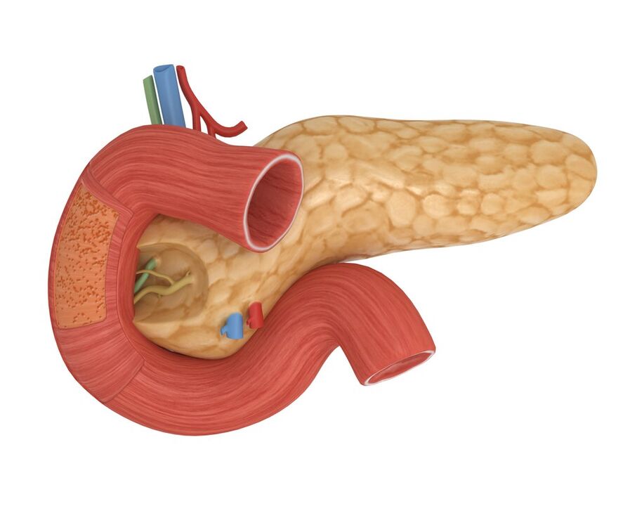 sensibilitate bună la insulina pancreatică după administrarea Glucoren